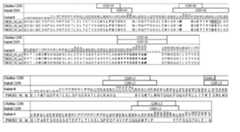 Figure imgf000109_0003