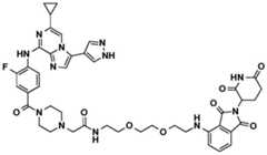 Figure BDA0002964098100001331