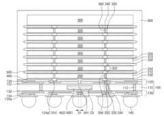 Figure P1020200061467