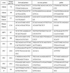 Figure imgf000019_0001