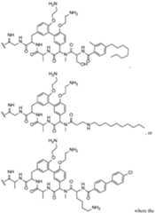 Figure imgf000048_0001