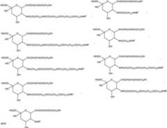 Figure 112009026250918-PCT00125