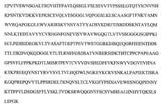 Figure 112104291-A0202-12-0141-152