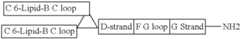 Figure US08907053-20141209-C00029
