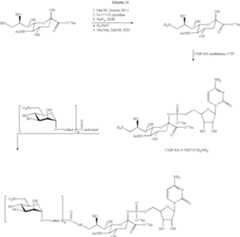 Figure US07179617-20070220-C00121