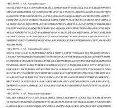 Figure imgf000204_0001