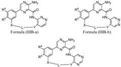 Figure imgf000491_0001