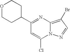 Figure US07119200-20061010-C01075