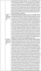 Figure BDA0004033970230006331