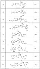 Figure imgf000027_0001