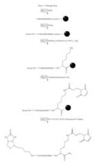 Figure US06706892-20040316-C00092