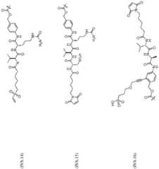 Figure imgf000110_0001