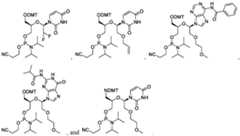 Figure imgf000019_0001