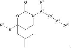 Figure FDA0000045152810000021