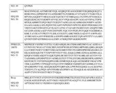 Figure imgf000141_0001