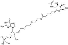 Figure imgf000061_0002