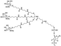 Figure BDA0003357312860003121