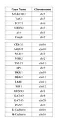Figure imgf000171_0001