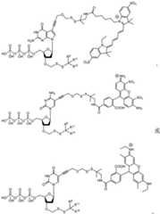 Figure BDA0003670511740003011