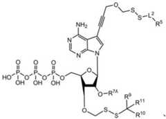 Figure BDA0003670511740001372