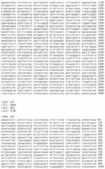 Figure IDA00002091897101181