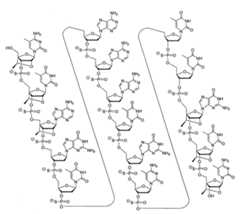 Figure 108131991-A0202-12-0055-24