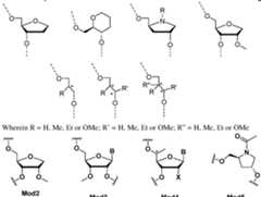 Figure imgf000053_0002
