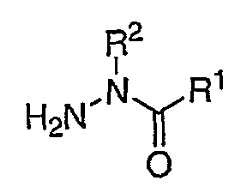 Figure 112005051712027-pct00049