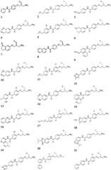 Figure GDA0002182553300000141