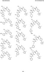 Figure imgf000210_0001