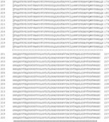 Figure GDA0002870045410001061