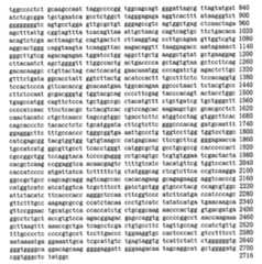 Figure 109103078-A0101-12-0142-148