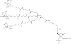 Figure US09181549-20151110-C00398