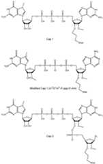 Figure imgf000025_0001