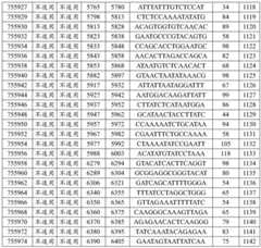 Figure BDA0002715438180001431