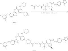 Figure US11969472-20240430-C00207