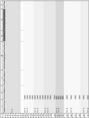 Figure imgf000045_0001