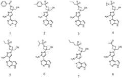 Figure FDA0002953599670000021