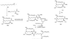 Figure imgf000073_0002