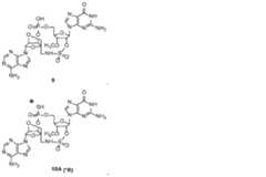 Figure 0007317014000020