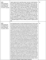 Figure imgf000129_0001