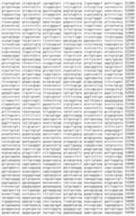 Figure IDA00002091897100371