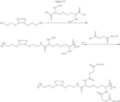 Figure US08110179-20120207-C00019