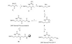 Figure imgf000034_0001