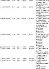 Figure BPA00001280678301191