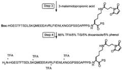 Figure imgf000067_0001