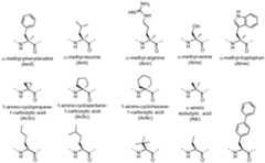 Figure imgf000041_0003