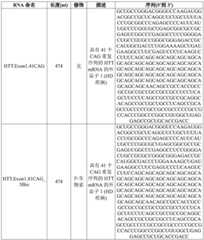 Figure BDA0001804823870001531