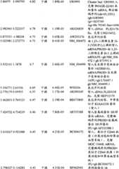 Figure BPA00001280678302861