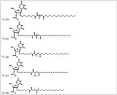 Figure BDA0003746740800002571